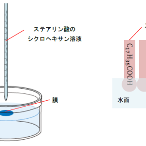 みどりのプール