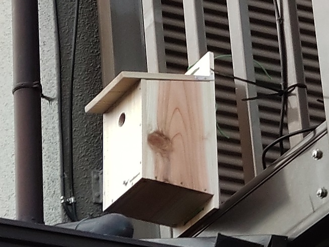 野鳥の巣箱を設置しました！