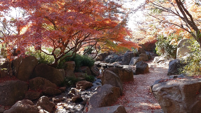 霞ヶ浦総合公園