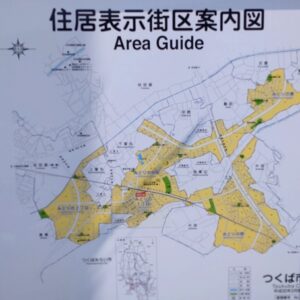 ポスティング 2025.5.5