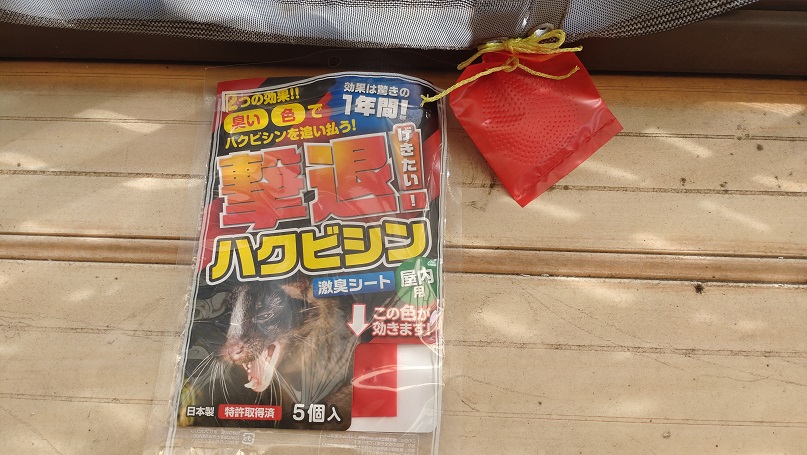 ハクビシン
