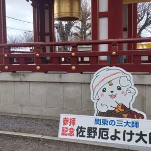 新春の賑わい！佐野厄除大師で初詣