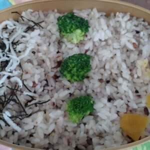 本日のお弁当 2025.8.12