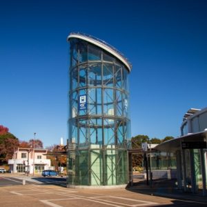 アクアワールド茨城県大洗水族館で海の生き物たちと触れ合う！