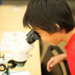 つくば理数塾から理検Doctorが誕生！