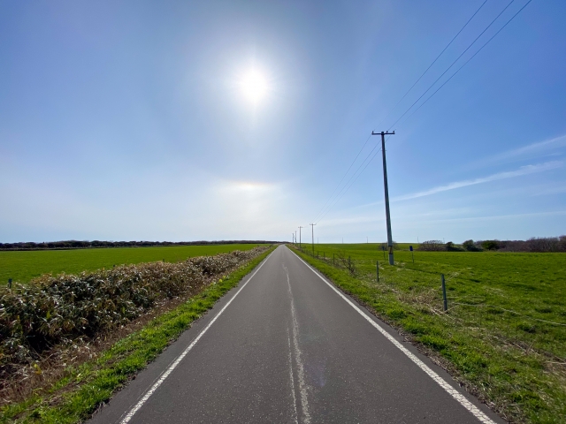 道路の舗装に竹活用