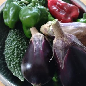 理数ファーム 2024.9.10