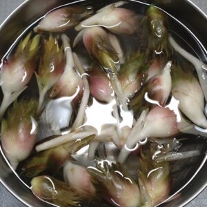 理数ファーム 2025.9.28