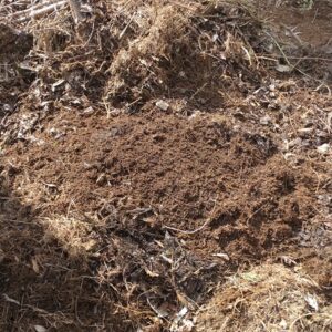 理数ファーム 2026.2.21