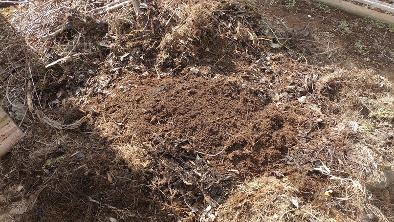 理数ファーム 2026.2.21