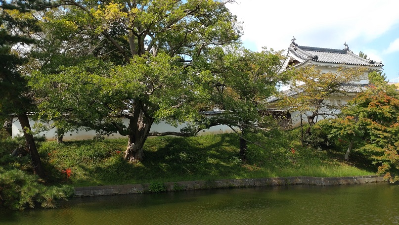 亀城公園