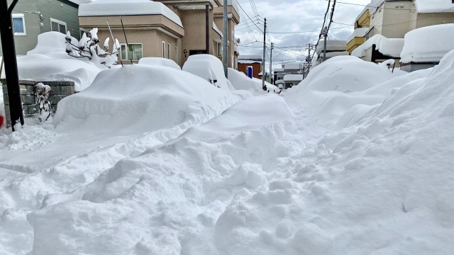 ドカ雪