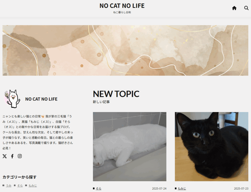 新さくらのブログで猫ブログを開設!