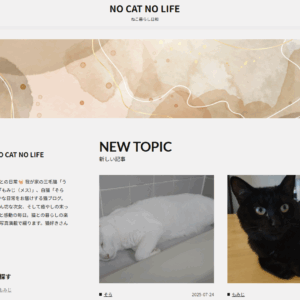 新さくらのブログで猫ブログを開設！