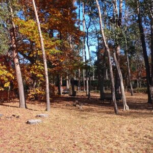 まつぼっくり公園