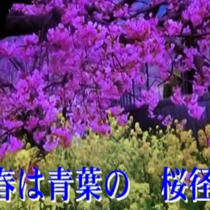 演歌歌手・鈴木春美さんにお会いしてきました