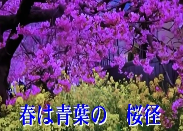 演歌歌手・鈴木春美さんにお会いしてきました
