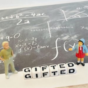 2E (twice-exceptional)